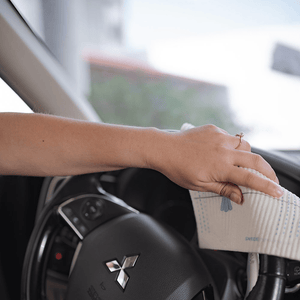 Mixed Winter Animals on Gray Set of 3 cloths (One of each design) Swedish Dishcloths ECO Absorbent Cleaning Cloth - SWEDEdishcloths.com